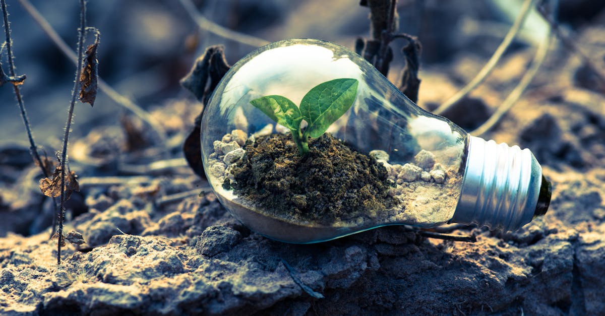 entdecken sie die neuesten entwicklungen und strategien für nachhaltigkeit. erfahren sie, wie nachhaltige praktiken in verschiedenen branchen umgesetzt werden und wie jeder von uns zur erhaltung unserer umwelt beitragen kann.