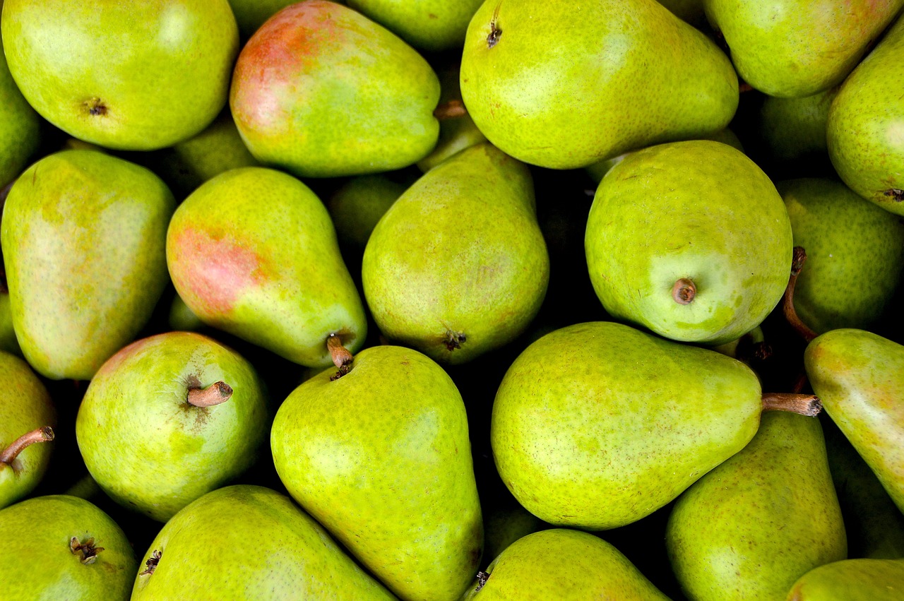 entdecken sie die grundlagen der ernährung und erfahren sie, wie eine ausgewogene ernährung ihr wohlbefinden und ihre gesundheit fördern kann. tipps und rezepte für eine gesunde lebensweise.