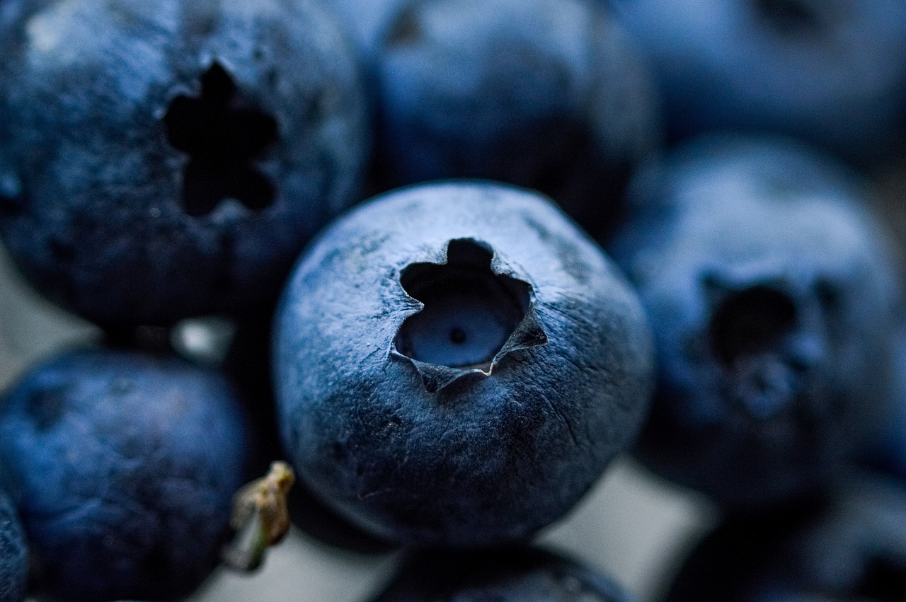 entdecken sie die kraft der antioxidantien! verbessern sie ihre gesundheit und fördern sie ihr wohlbefinden mit wertvollen inhaltsstoffen, die freie radikale bekämpfen und das altern verlangsamen.