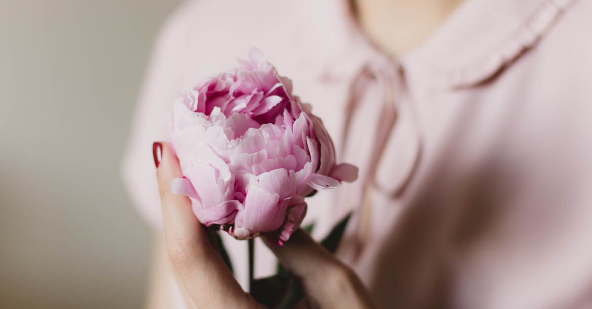 entdecken sie die neuesten trends und styles für frauen. von mode über schönheit bis hin zu lebensstil – alles, was moderne frauen inspiriert und beeindrucken wird.