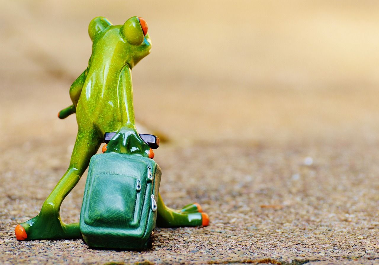 entdecken sie die besten reiseziele der welt, finden sie inspirierende tipps und nützliche informationen für ihre nächste abenteuerreise. lassen sie sich von unvergesslichen erlebnissen und beeindruckenden kulturen begeistern!