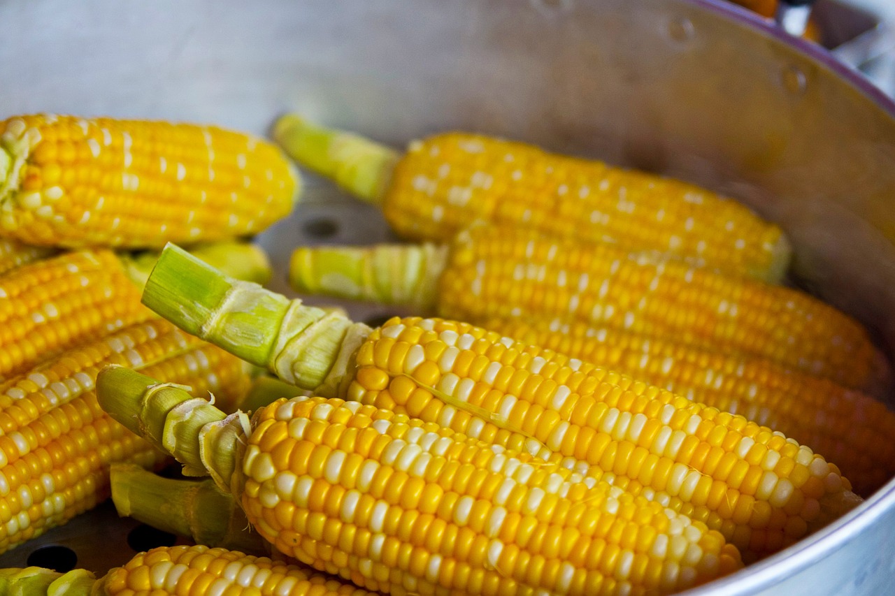 entdecken sie die besten tipps und strategien für eine gesunde ernährung. unsere ernährungsausbildung bietet ihnen wertvolle informationen über nahrungsmittel, essgewohnheiten und deren einfluss auf ihr wohlbefinden.