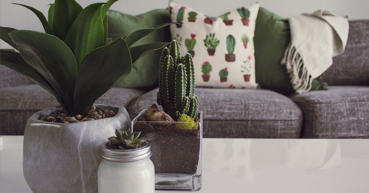 entdecken sie inspirierende ideen und hochwertige produkte für ihre wohnkultur. verwandeln sie ihr zuhause mit stilvollen dekorationen und einzigartigen accessoires in einen gemütlichen rückzugsort.