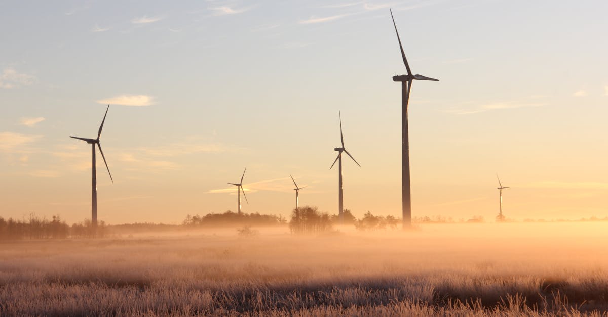 entdecken sie die bedeutung und die vorteile der nachhaltigkeit für unsere umwelt und zukünftige generationen. erfahren sie, wie nachhaltige praktiken in verschiedenen bereichen des lebens umgesetzt werden können.