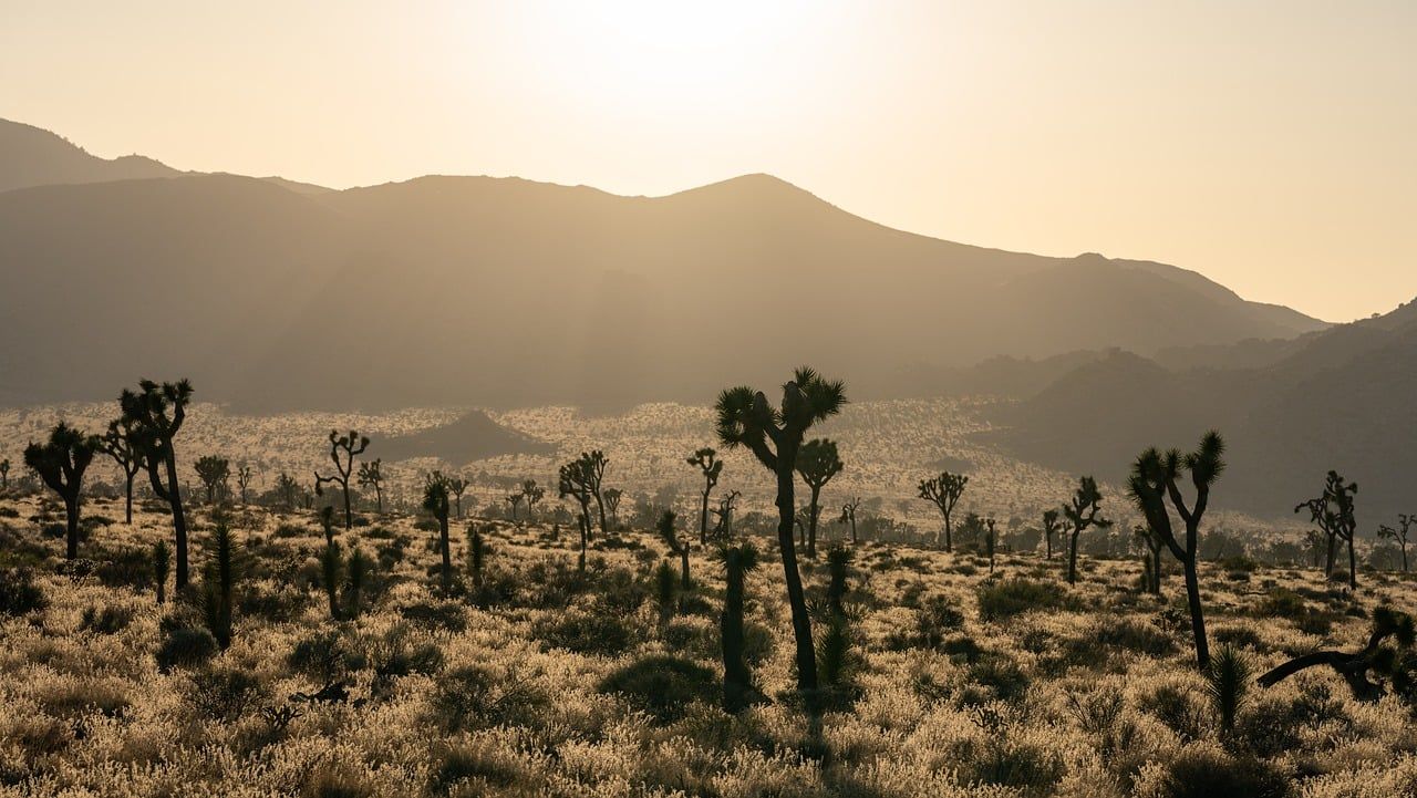 entdecken sie die vielfältigen regionen kaliforniens, von den sonnigen stränden bis zu den majestätischen bergen. erleben sie die kultur, die natur und die aufregenden aktivitäten, die dieser us-bundesstaat zu bieten hat.