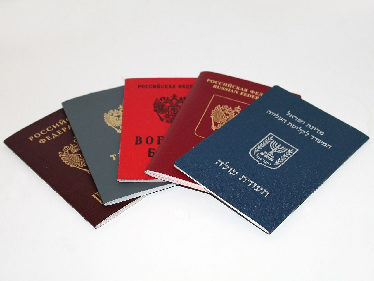 informationen zur rückführung: effiziente und sichere organisation von rückführungen ins heimatland.