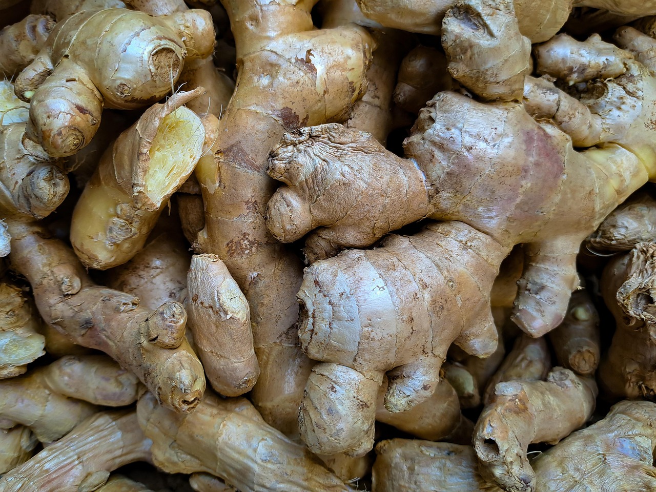 entdecken sie die vielfältigen vorteile von ingwer! dieses aromatische gewürz ist nicht nur eine beliebte zutat in der küche, sondern auch bekannt für seine gesundheitsfördernden eigenschaften. erfahren sie mehr über die verwendung von ingwer in der traditionellen medizin und wie er ihre gesundheit unterstützen kann.