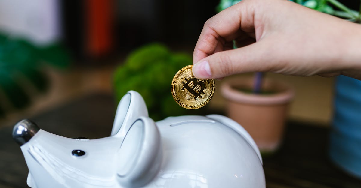 entdecken sie die wichtige welt der finanziellen bildung. lernen sie, wie sie ihre finanzen verwalten, investieren und für die zukunft planen können. erwerben sie wertvolle kenntnisse, um finanzielle sicherheit und unabhängigkeit zu erreichen.