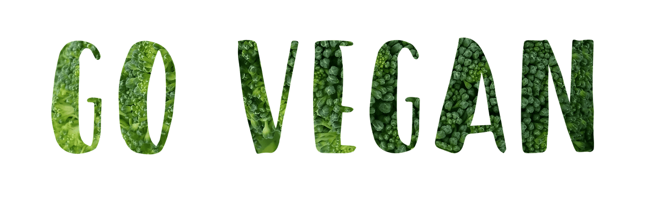 entdecken sie inspirierende nachhaltige lifestyle-blogger, die wertvolle tipps und ideen für umweltfreundliches leben teilen. erfahren sie mehr über grüne alternativen, bewussten konsum und nachhaltige trends.