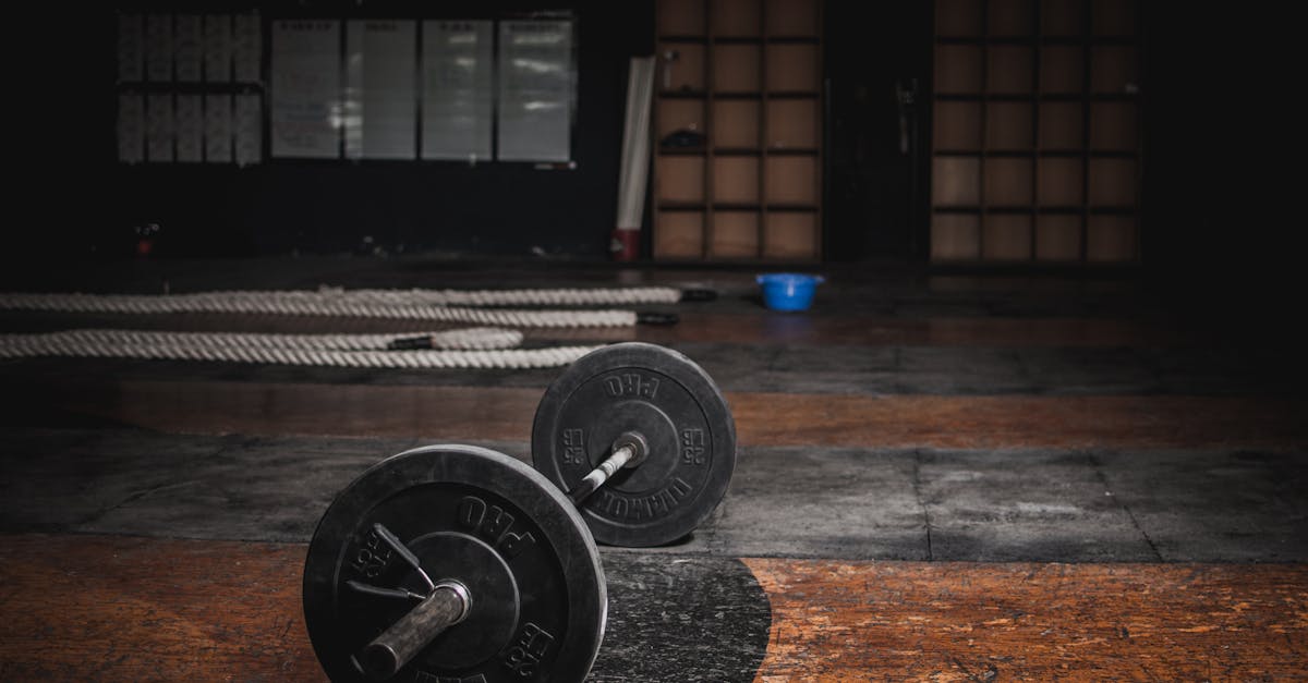 entdecken sie tipps und inspiration für ein effektives fitness-training. verbessern sie ihre gesundheit und fitness mit unseren trainingsplänen, ernährungstipps und motivationsstrategien.