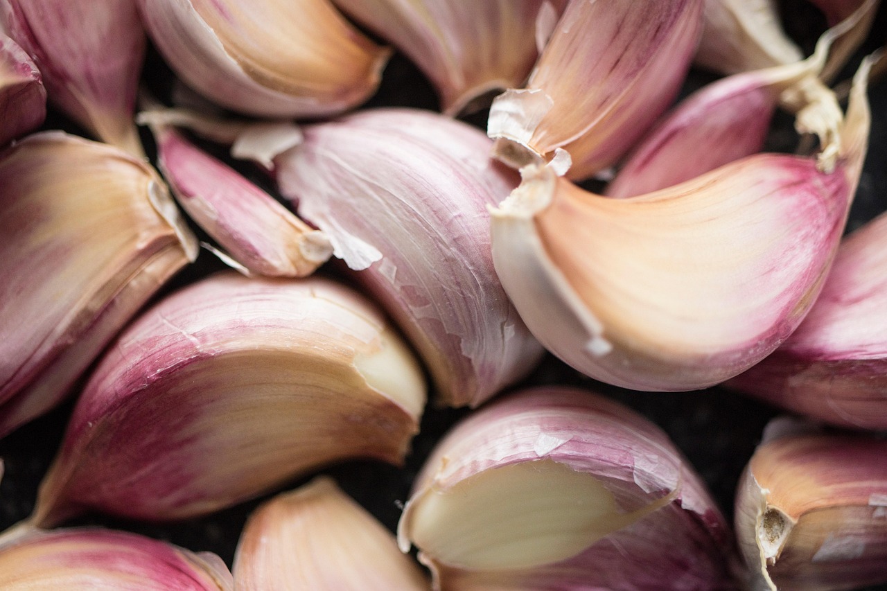 entdecken sie die vielseitige welt der kräuter! von aromatischen gewürzen bis hin zu heilenden pflanzen, erfahren sie, wie sie kräuter in der küche und für ihr wohlbefinden nutzen können.