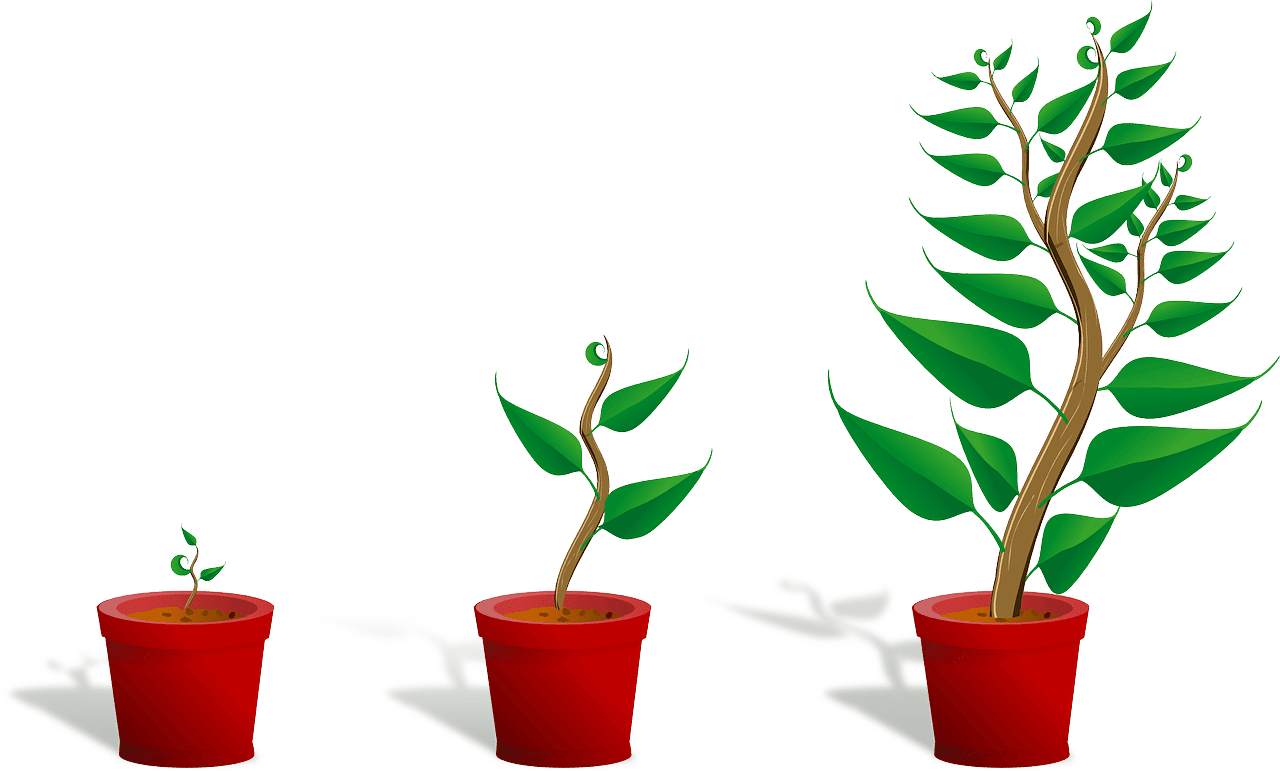 entdecken sie die transformative kraft des growth mindset! lernen sie, wie eine wachstumsorientierte denkweise ihnen helfen kann, herausforderungen zu meistern, ihre fähigkeiten zu verbessern und persönliche sowie berufliche erfolge zu erzielen.