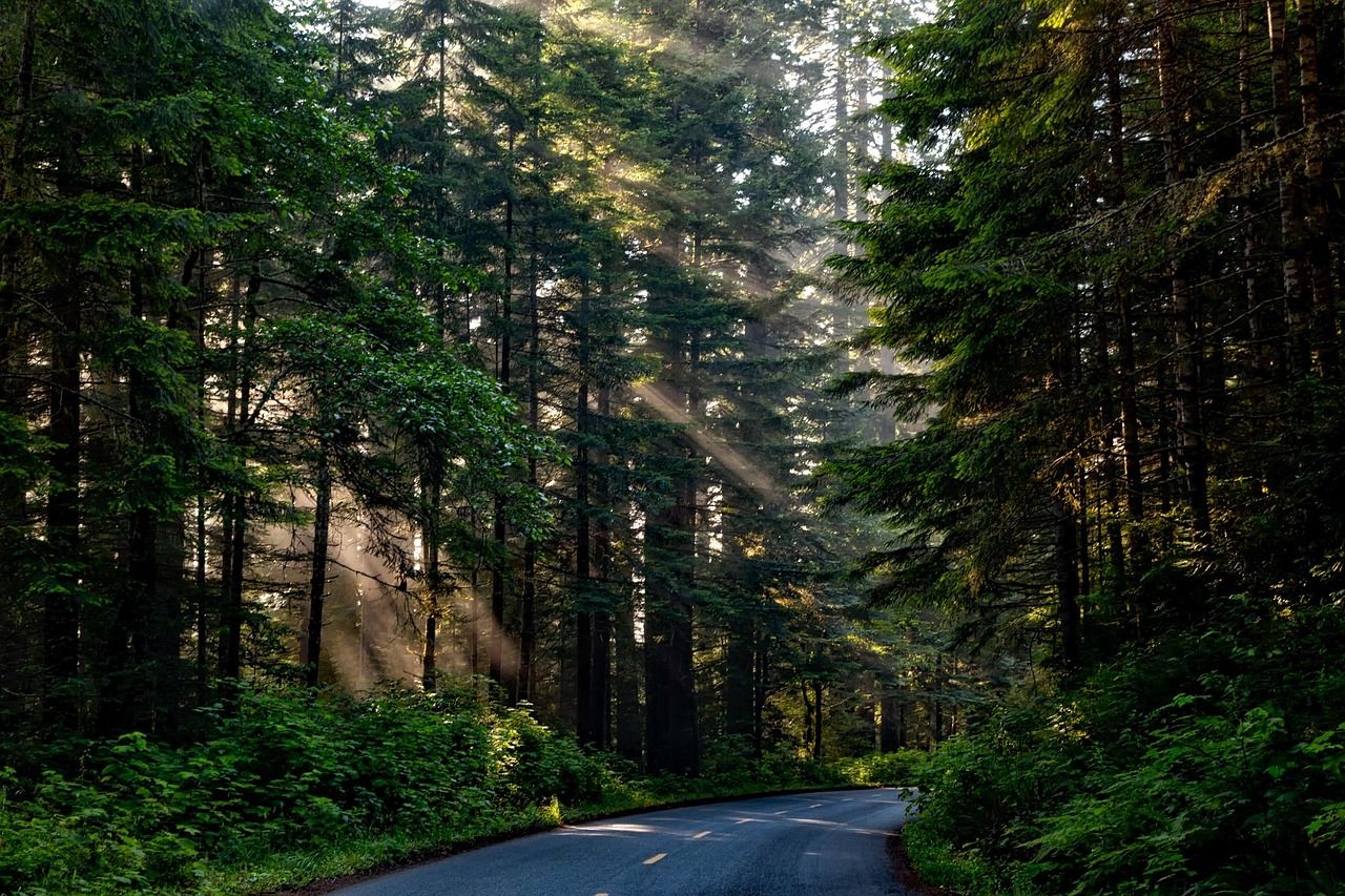 erleben sie die vielfalt kaliforniens: von atemberaubenden stränden über aufregende städte bis hin zu malerischen nationalparks. entdecken sie die sonne, kultur und abenteuer, die den golden state einzigartig machen.