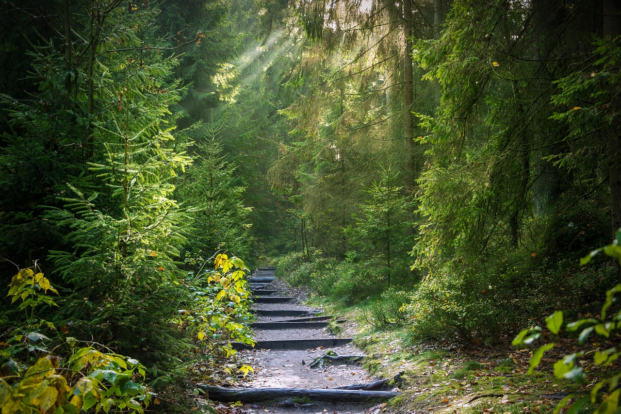 Steffis Empfehlung: Entdecke den Natur-Erlebnis-Pfad in Weeze