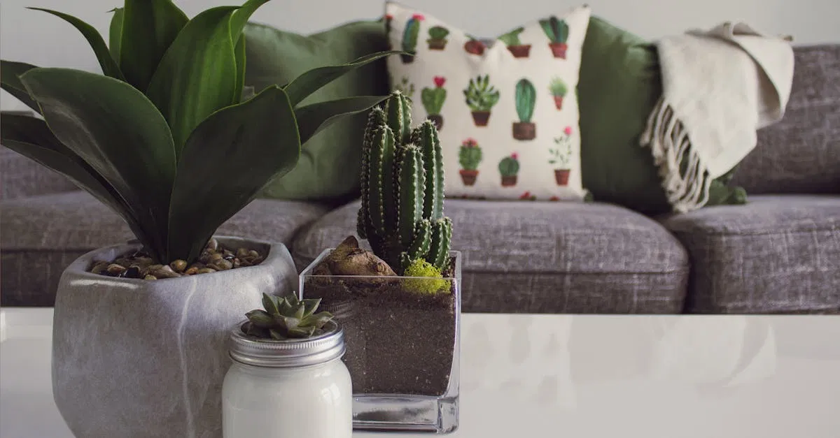 Wohnideen für ein gemütliches Zuhause: Kreative Ansätze und Inspirationen