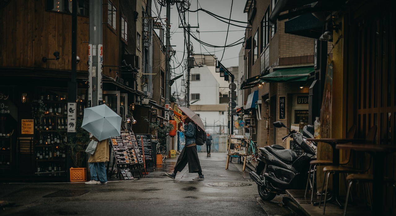 nützliche hinweise für eine japanreise nach kyushu und okinawa