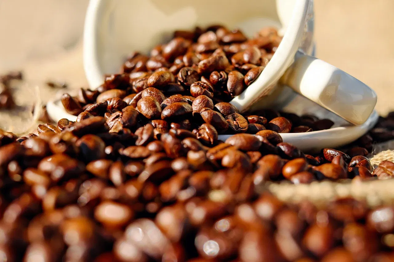 Wie man den optimalen Kaffee brüht