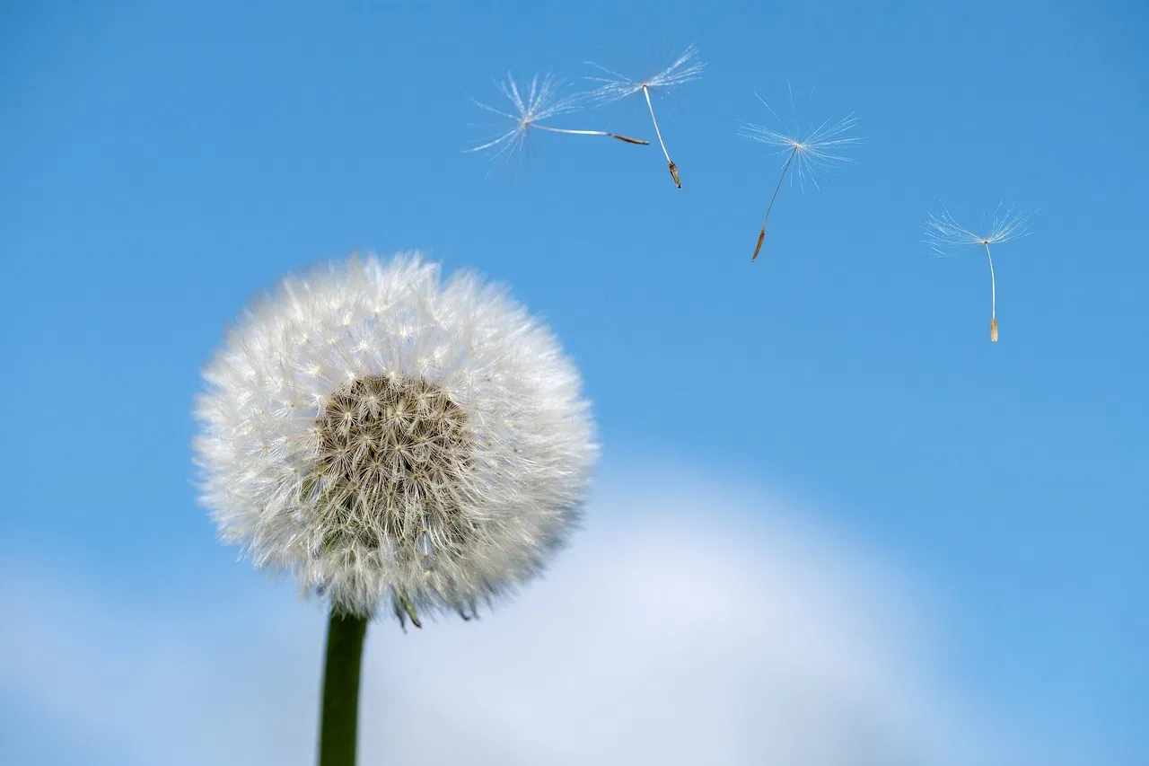 Essen und Trinken bei Allergien: Was man wissen sollte