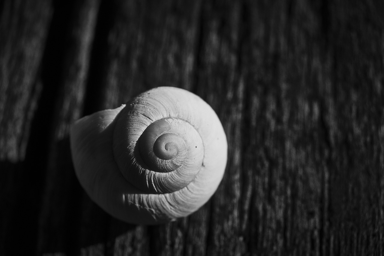 Wie man seine Komfortzone verlässt und neue Erfahrungen sammelt