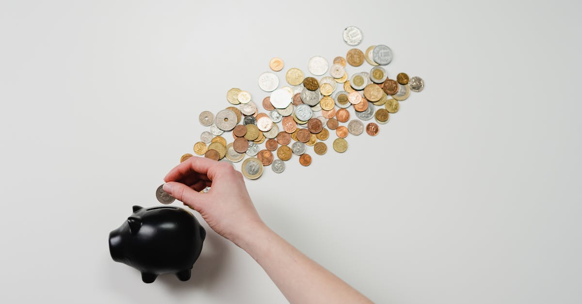 Finanzielle Freiheit: Schritte zur Erreichung finanzieller Unabhängigkeit