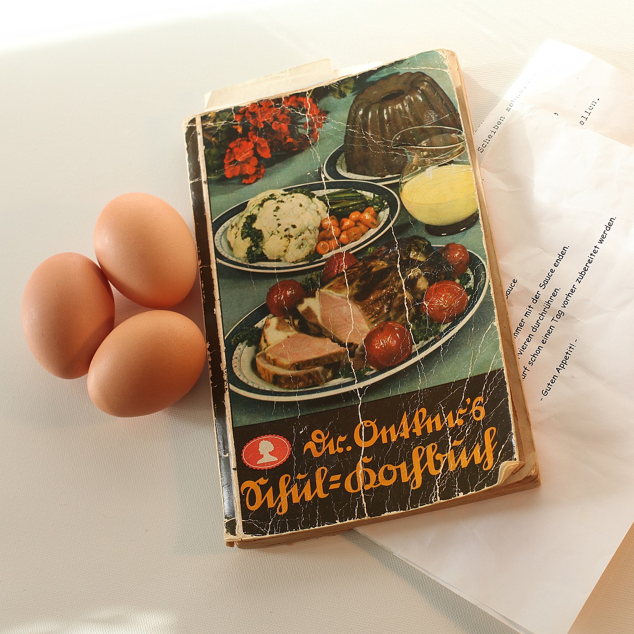 Die besten Kochbücher für Anfänger und Profis