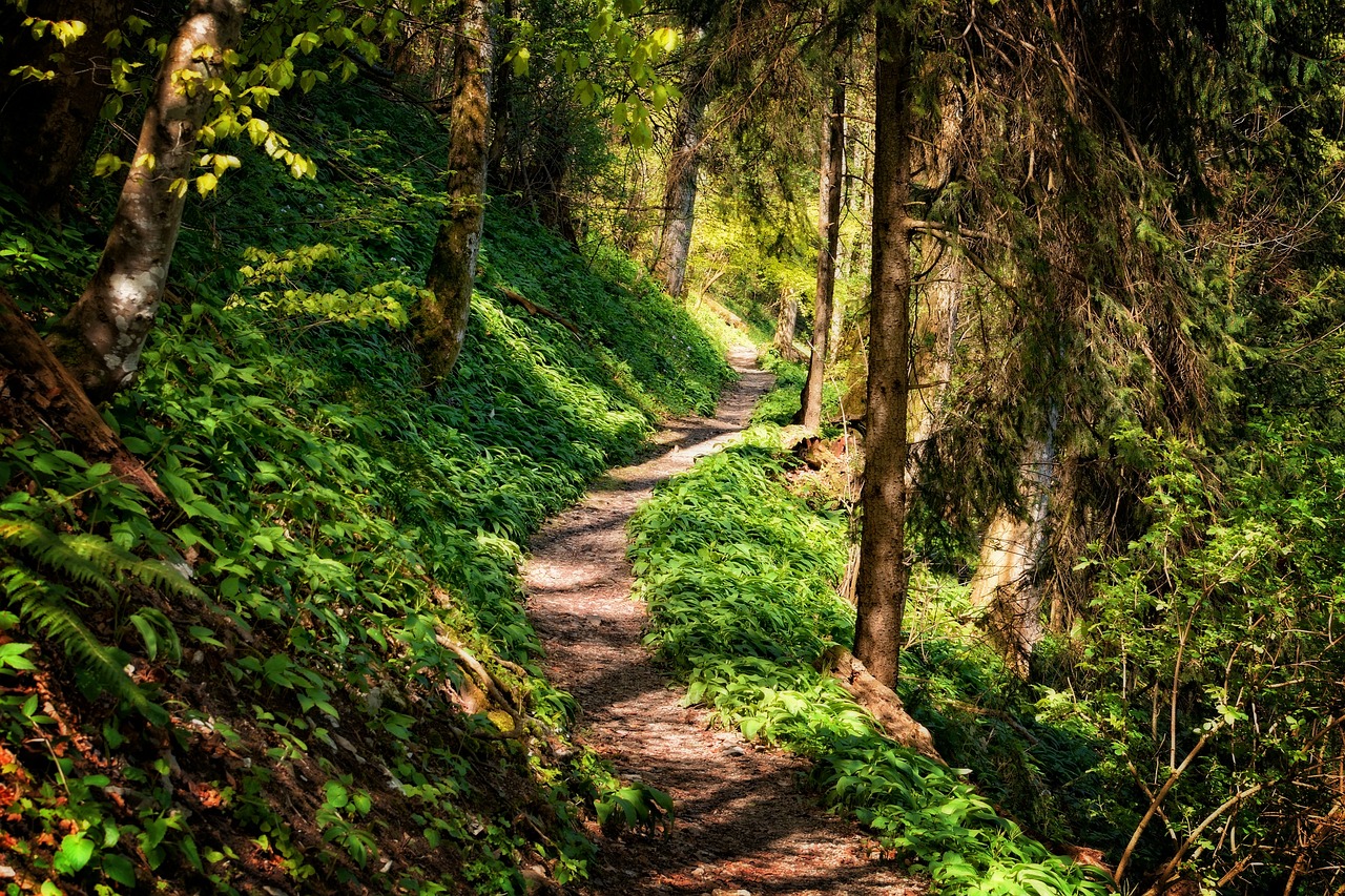 Die schönsten Wanderwege in den Alpen