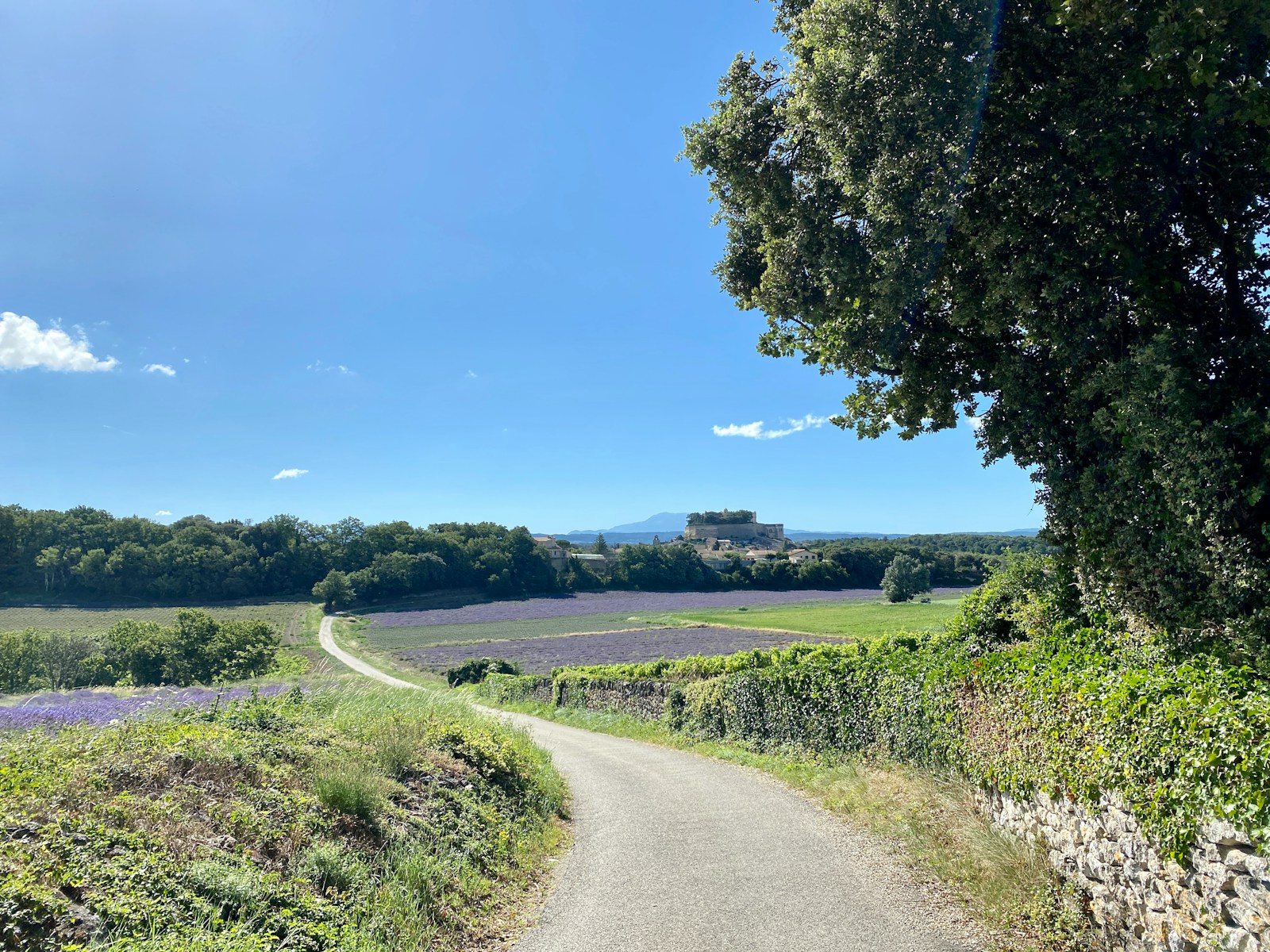 Grignan: Ein malerisches Juwel in der Drôme Provençale