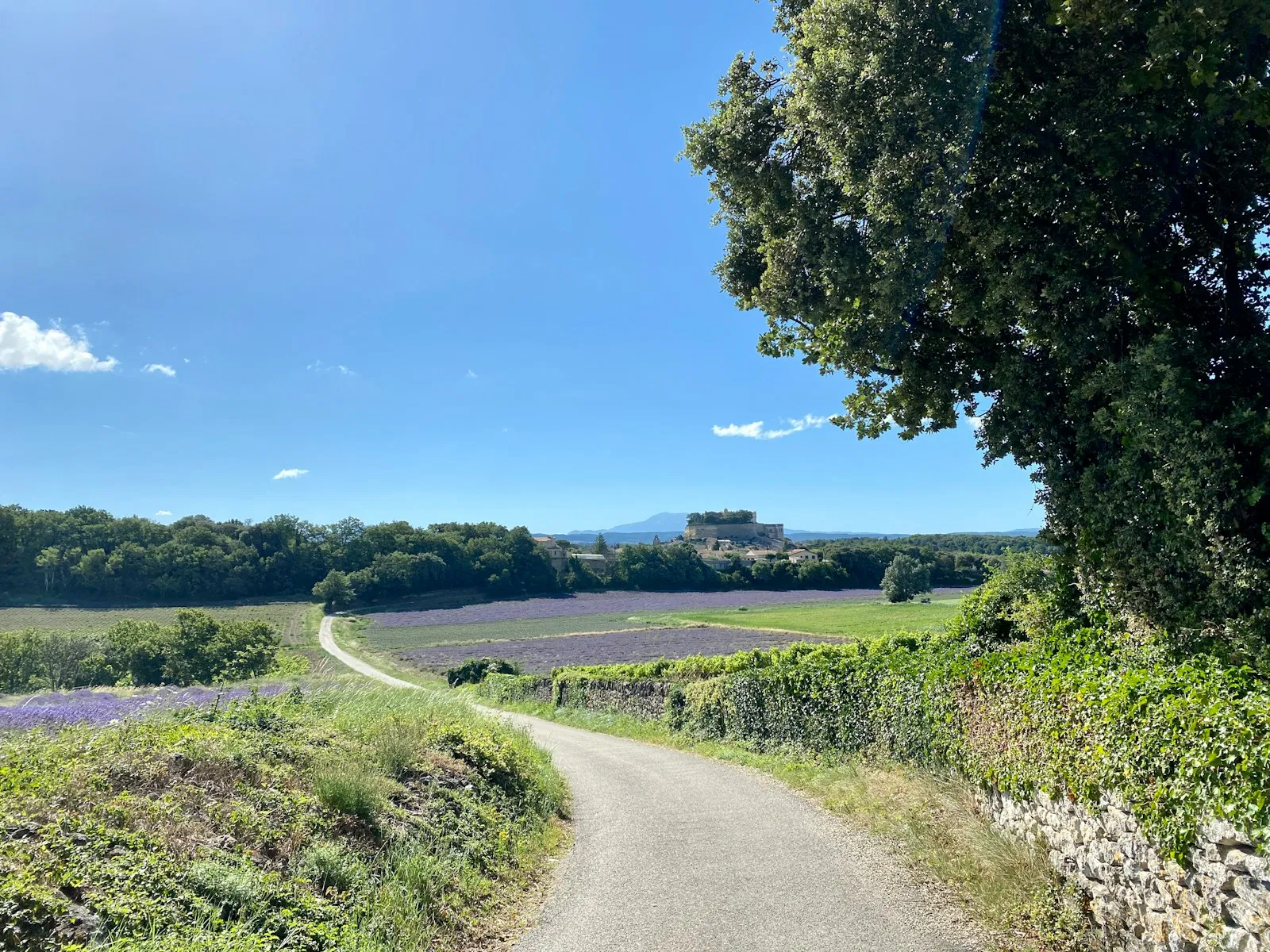 Grignan: Ein malerisches Juwel in der Drôme Provençale