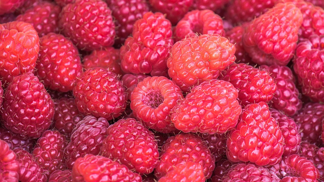 Wie Nahrungsmittel mit Antioxidantien Erkältungen vorbeugen können