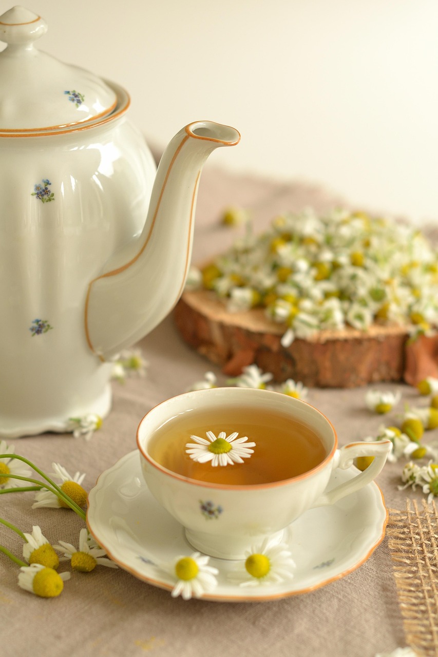 Alles rund um Ihre Gesundheit: Tipps, Trends und neueste Erkenntnisse