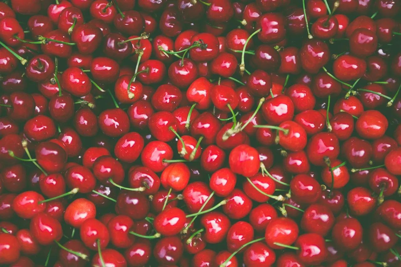 Die besten Möglichkeiten, um Obst und Gemüse frisch zu halten