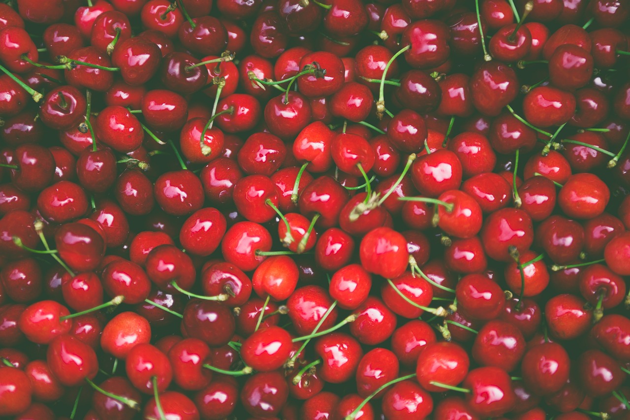 Die besten Möglichkeiten, um Obst und Gemüse frisch zu halten
