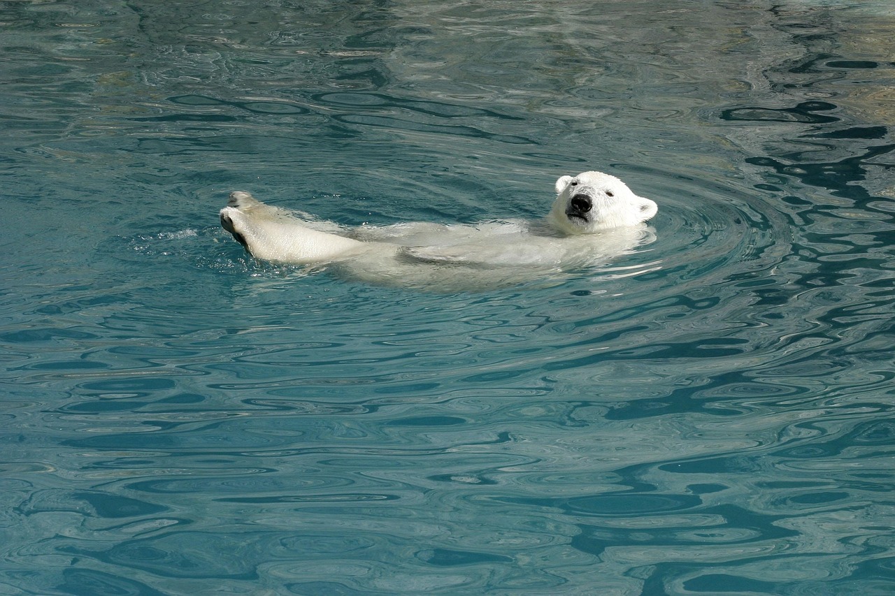 Veränderungen in den Reisegewohnheiten der Verbraucher: Trends und Entwicklungen