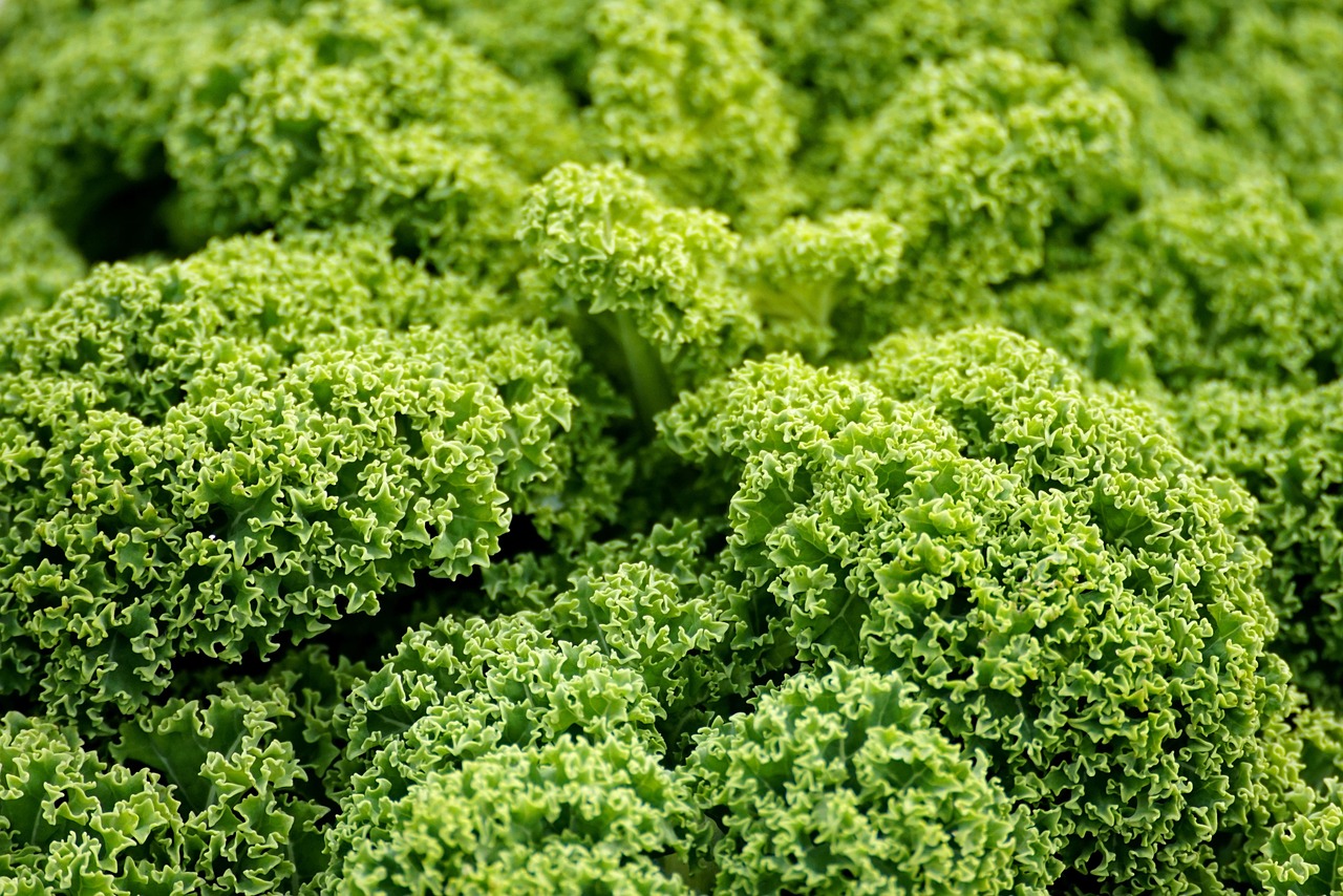 Glücksgenuss: Ein veganer Blog für Gaumenfreuden