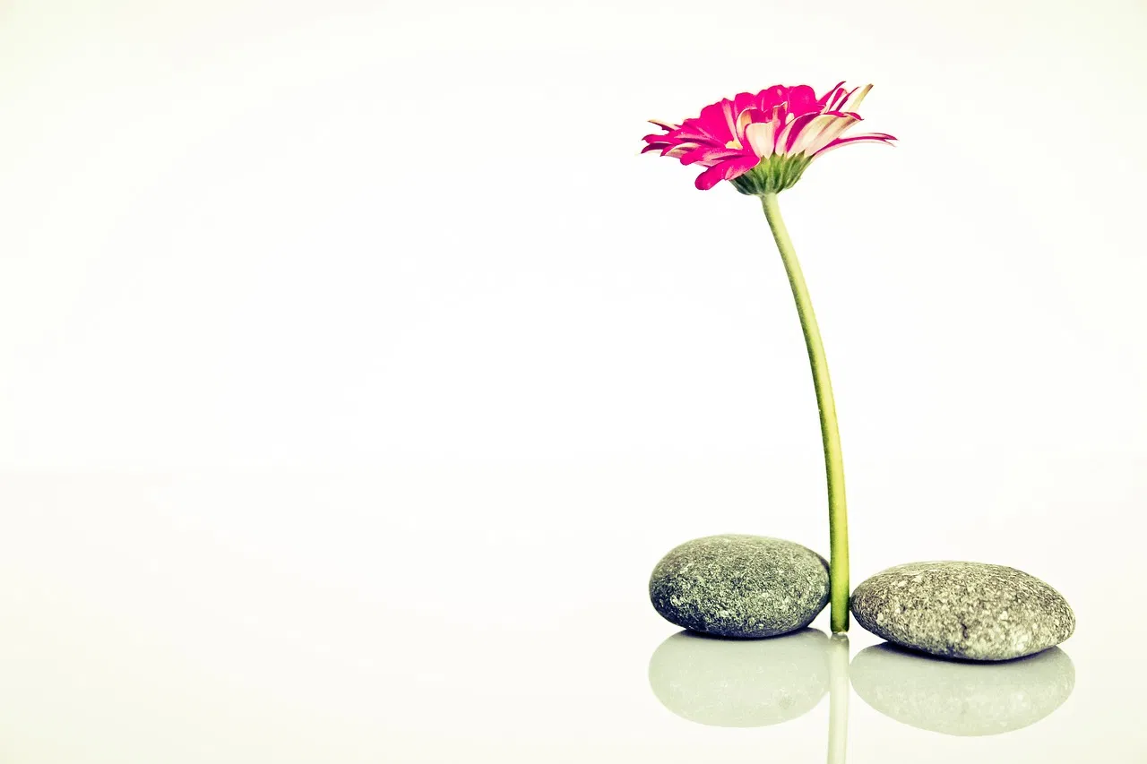 Kreative Auszeiten: So findet man neue Inspiration