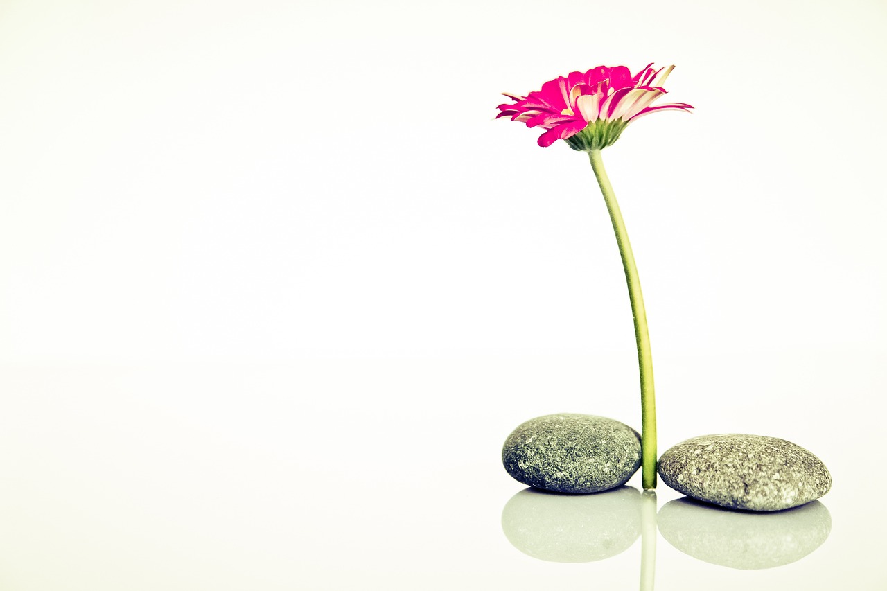 Kreative Auszeiten: So findet man neue Inspiration
