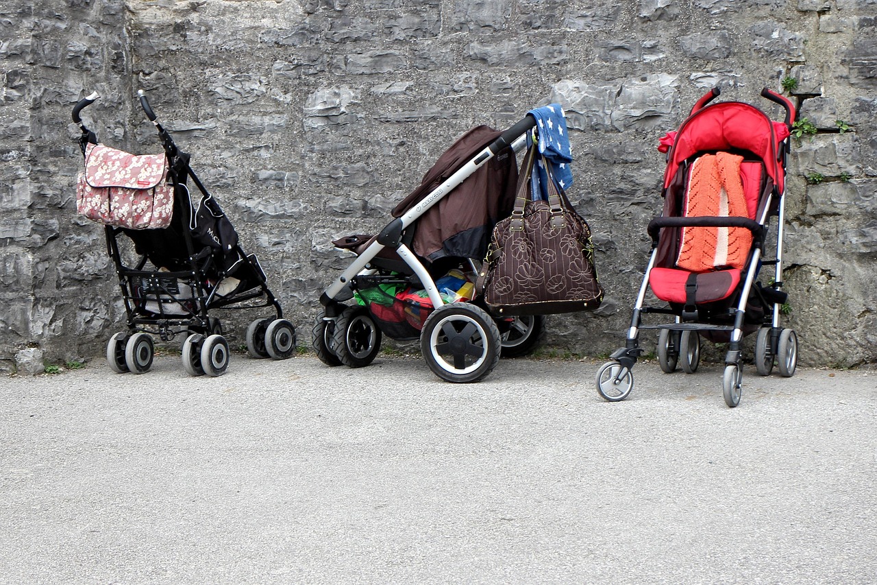 Der ultimative Reisebuggy: Dein perfekter Begleiter für Abenteuer unterwegs!