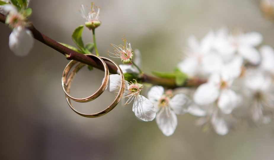 optimieren sie ihre kundenbindung mit effektiven strategien, um das engagement zu steigern und langfristige beziehungen aufzubauen. entdecken sie, wie sie die interaktion mit ihren kunden verbessern können.