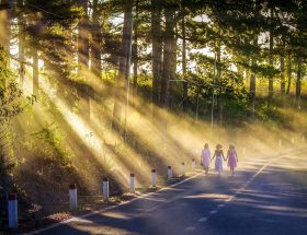 entdecken sie inspirierende frauenblogs, die einblicke in verschiedene lebensbereiche bieten, von mode und schönheit bis hin zu karriere und persönlichem wachstum. lassen sie sich von starken stimmen und einzigartigen geschichten begeistern!