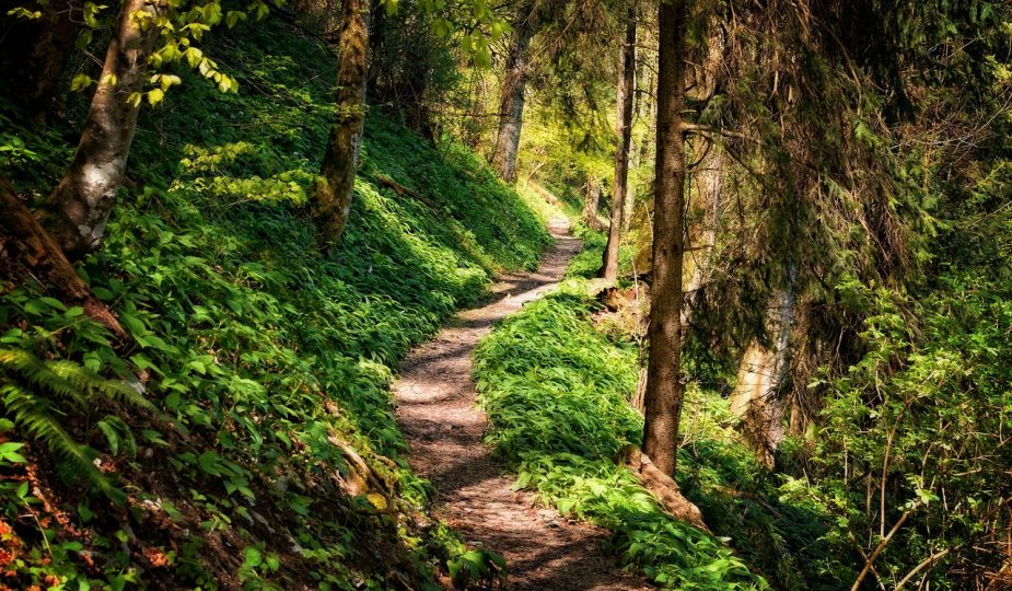 entdecken sie atemberaubende wanderwege inmitten der natur. erleben sie unvergessliche abenteuer und genießen sie die schönheit der landschaft auf unseren bestens markierten trails. ideal für alle schwierigkeitsgrade!