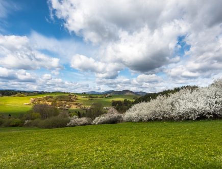 entdecken sie die bedeutung von regionalität: erfahren sie, wie lokale produkte und traditionelle praktiken unsere gemeinschaften stärken und unsere umwelt schützen.