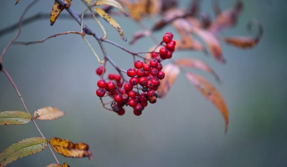 entdecken sie die bedeutung der emotionalen gesundheit für ihr wohlbefinden. erfahren sie, wie sie ihre emotionen verstehen, bewältigen und stärken können, um ein glücklicheres und ausgewogeneres leben zu führen.