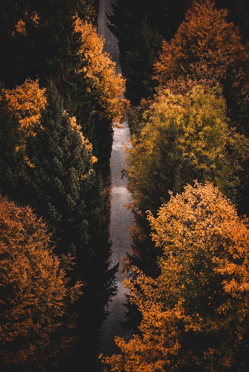 entdecken sie die transformative kraft der achtsamkeit. erlernen sie techniken zur stressbewältigung, zur förderung des wohlbefindens und zur verbesserung der konzentration. tauchen sie ein in die welt der achtsamkeit und finden sie innere ruhe.