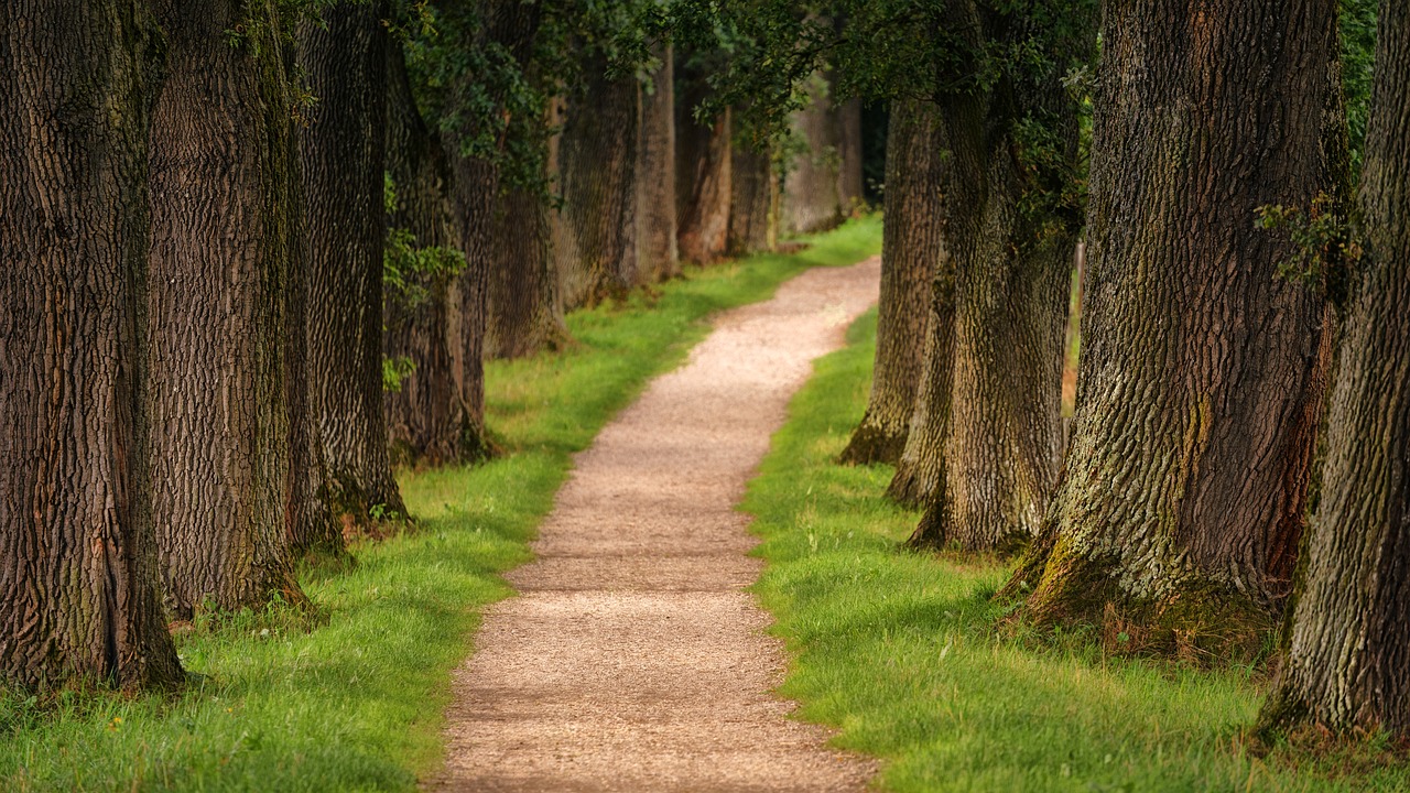 entdecken sie die malerischen weinwanderwege, die durch atemberaubende landschaften führen. erleben sie die kultur des weins hautnah und genießen sie köstliche weine während ihrer wanderung. ideal für weinliebhaber und naturliebhaber!