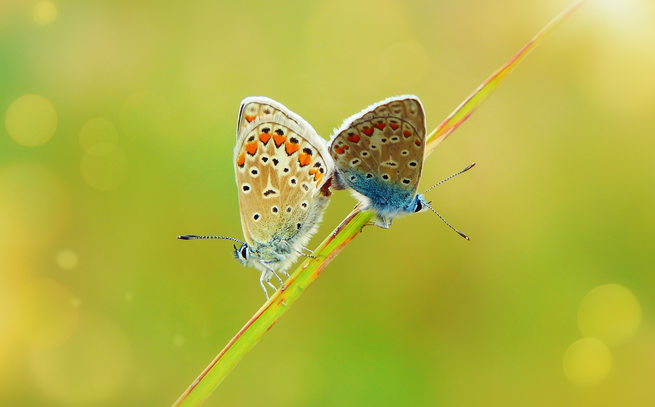 entdecken sie die faszinierenden aspekte der menschlichen biologie: von den grundlegenden zellstrukturen bis hin zu den komplexen funktionen des körpers. erfahren sie mehr über die wechselwirkungen zwischen genetik, umwelt und gesundheit, und wie diese elemente unser leben beeinflussen.