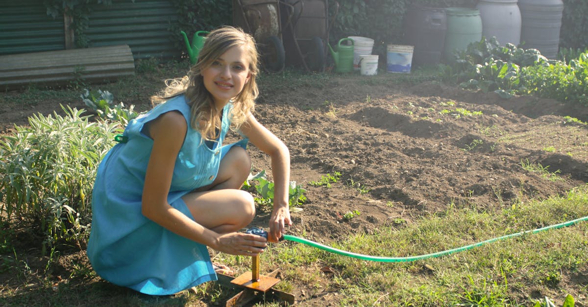 entdecken sie die welt des gärtnerns: tipps, tricks und inspiration für ihren eigenen garten. von der pflanzenpflege bis zur landschaftsgestaltung – verwandeln sie ihren außenbereich in ein grünes paradies.