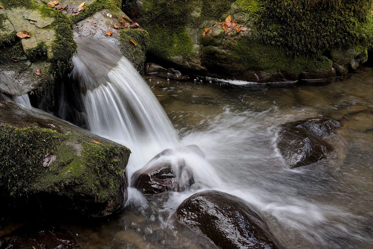 entdecken sie die schönheit der natur mit atemberaubenden landschaften, faszinierenden pflanzen und tieren. lassen sie sich von der vielfalt und harmonie der natur inspirieren und erleben sie unvergessliche abenteuer in freier wildbahn.