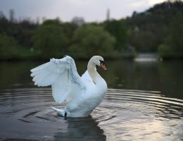 entdecken sie die faszinierende welt der reisefotografie. lassen sie sich von atemberaubenden landschaften, kulturellen momenten und unvergesslichen abenteuern inspirieren. erfahren sie, wie sie mit ihrer kamera die schönheit der welt einfangen können.