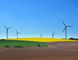 entdecken sie nachhaltiges reisen: tipps und ideen, um umweltfreundlich zu reisen, lokale kulturen zu unterstützen und die schönheit der natur zu bewahren.