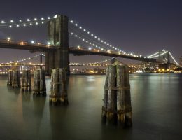 entdecken sie die neuesten nachrichten, analysen und berichte von voice of america, ihrem vertrauenswürdigen informationsanbieter für globale themen und einblicke aus den usa und der welt.